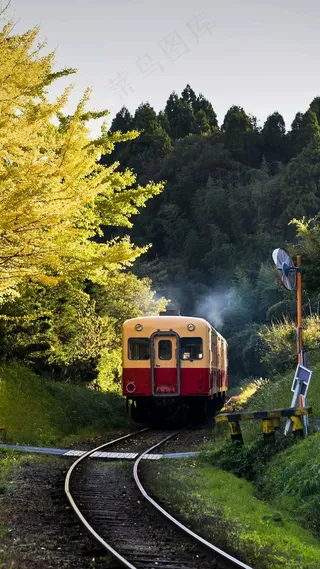 旅游观光车高清摄影图片