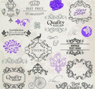 欧式花纹 花朵 小鸟 边框图片