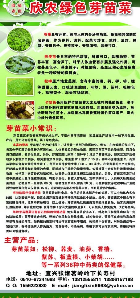 蔬菜展板图片