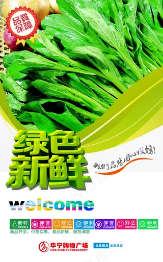 绿色新鲜