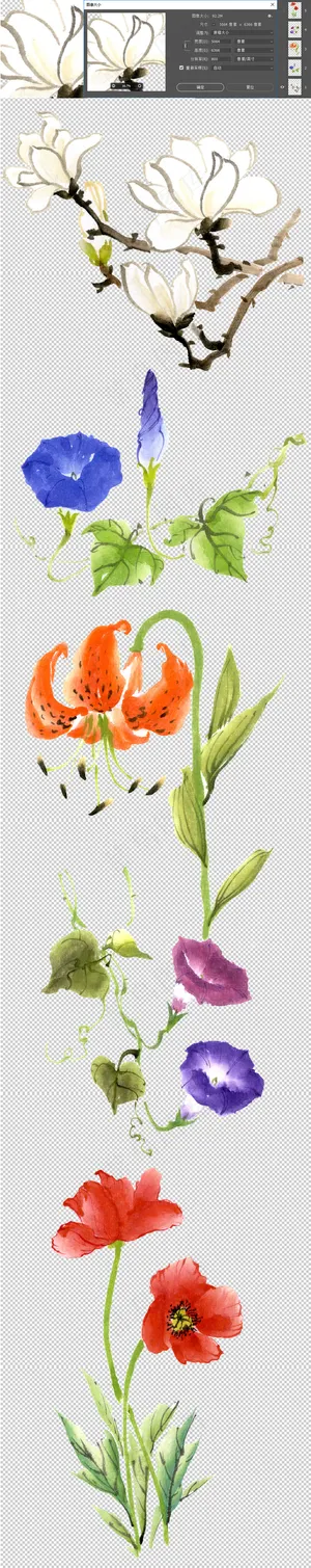 中国风手绘水彩花卉免扣素材