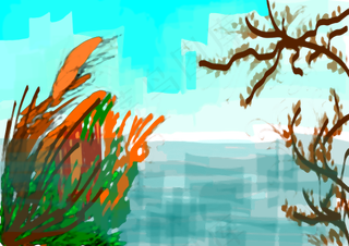 composition-color...