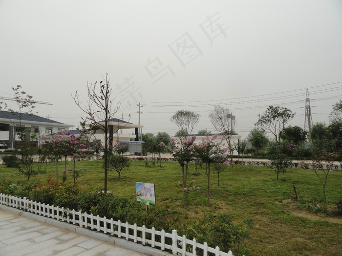 绿化带美景图片