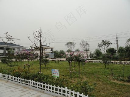 绿化带美景图片