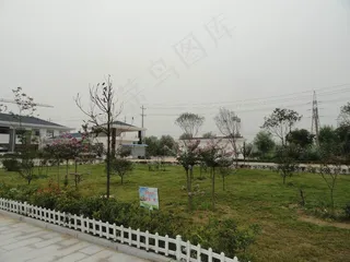 绿化带美景图片