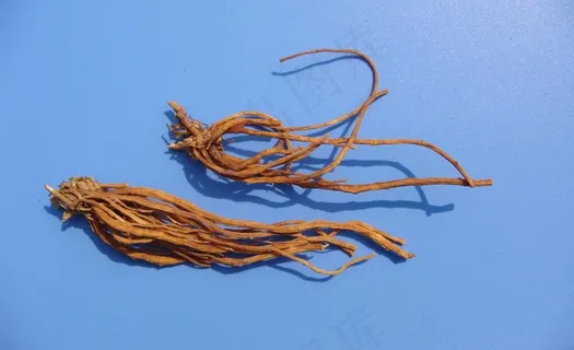 龙胆素材下载图片