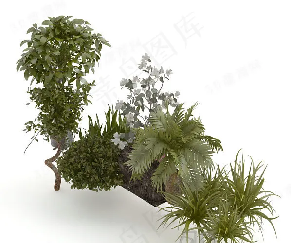 3D花草模型