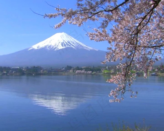 桃花