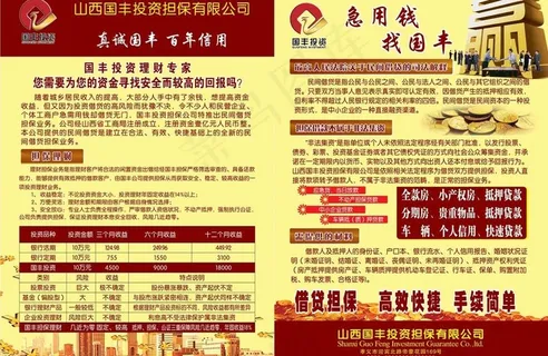 投资担保单页图片 投资担保单页图片