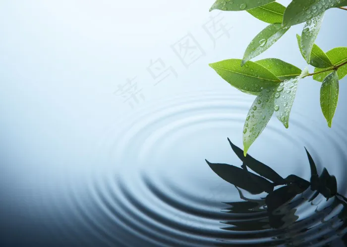 清新淡雅背景图片