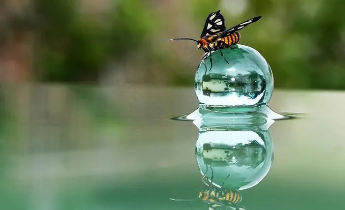水滴图片