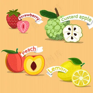 水果手绘矢量素材图片