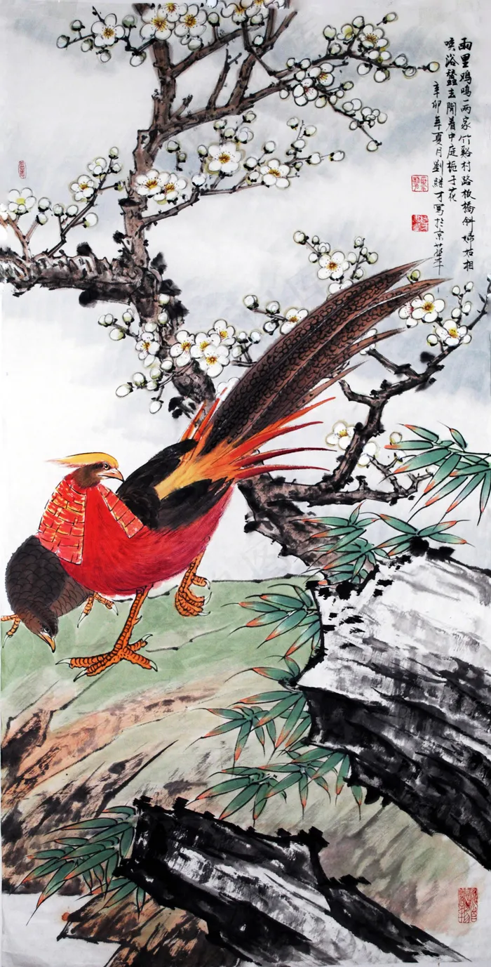 花鸟图图片