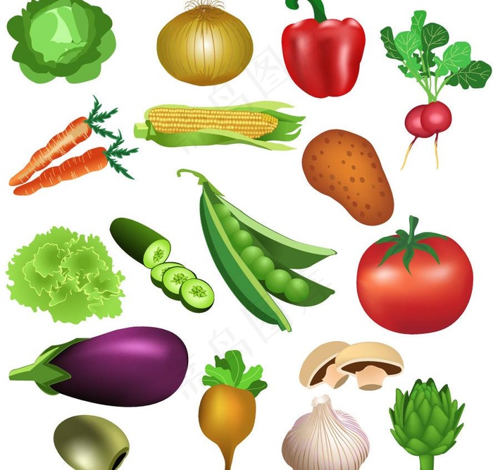 手绘蔬菜矢量图片