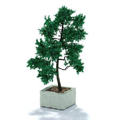 园林植物、景观植物、树木3D模型免...
