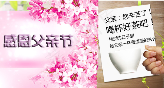 感恩父亲节温馨海报PSDpsd模版下载