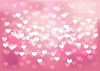 婚礼的爱的载体