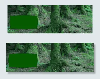 墨绿森林个性信息网页模板