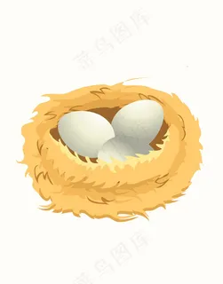 鸟巢鸟蛋