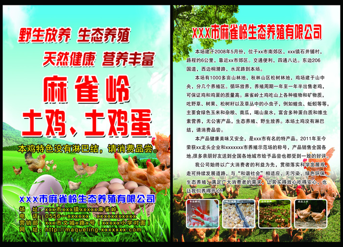 鸡蛋单页(5079X3661(DPI:300))psd模版下载