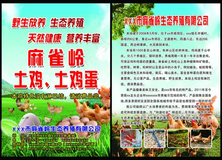 鸡蛋单页