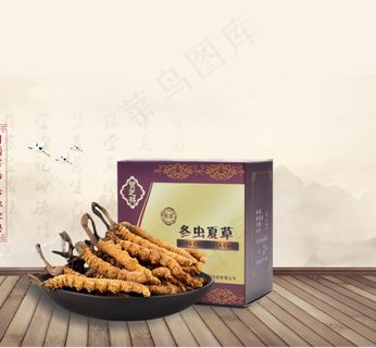 虫草设计模块礼盒三维设计