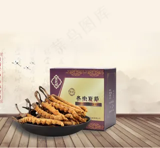 虫草设计模块礼盒三维设计