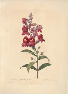 复古红色花朵手绘花卉矢量素材 复古红色花朵手绘花卉矢量素材