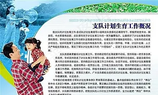 支队计划生育工作概况 计划生育板报...
