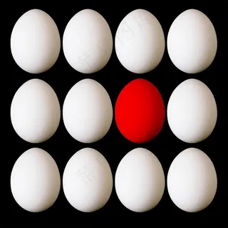 创意鸡蛋图片