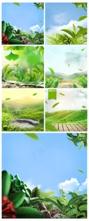 淘宝天猫绿色护肤品主图背景素材