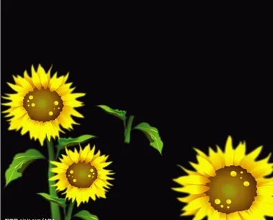 向日葵花朵图片