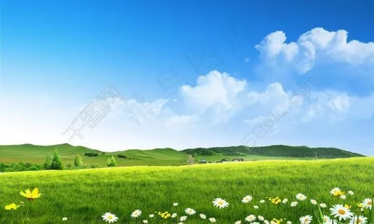 蓝天白云草地图片风景宜人 优美风景