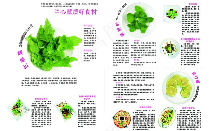 食材 蔬菜图片psd模版下载