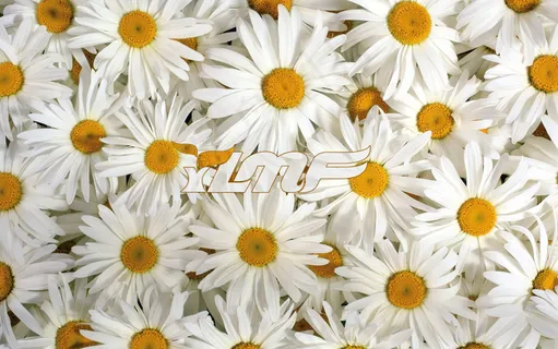 高清电脑桌面背景壁纸