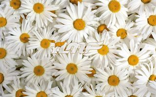 高清电脑桌面背景壁纸