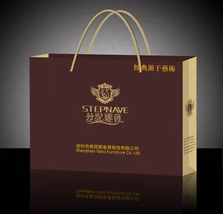 丝缇娜薇手提袋设计