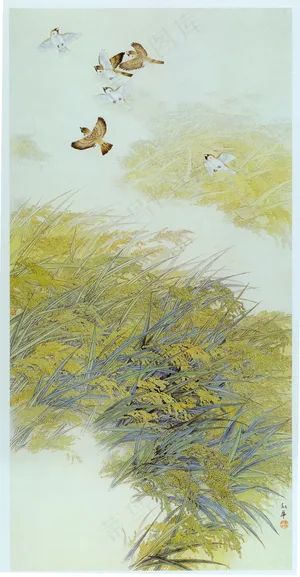 鸟与草国画图片