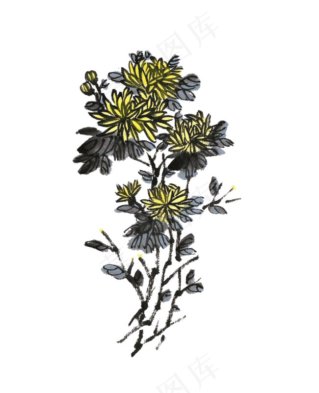 菊花素材psd模版下载