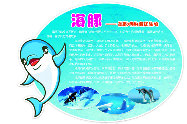海豚展板psd模版下载