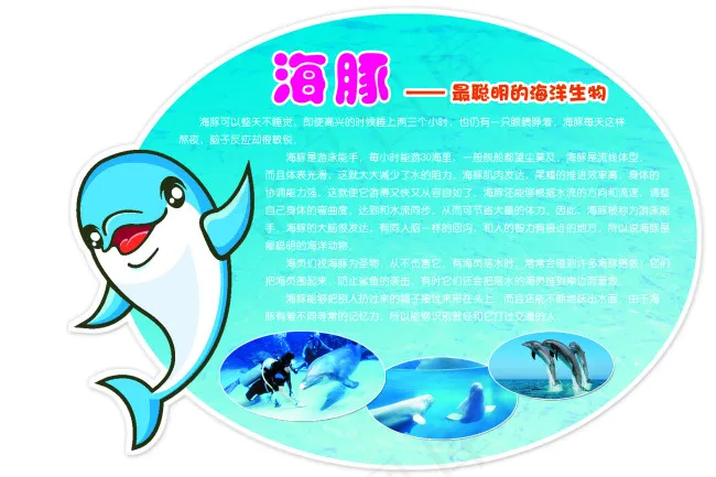 海豚展板psd模版下载