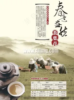 春意益然茶文化PSD素材