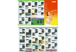 原创 联合健康营养宣传单张图片