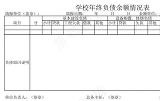 学校年终负债余额情况表