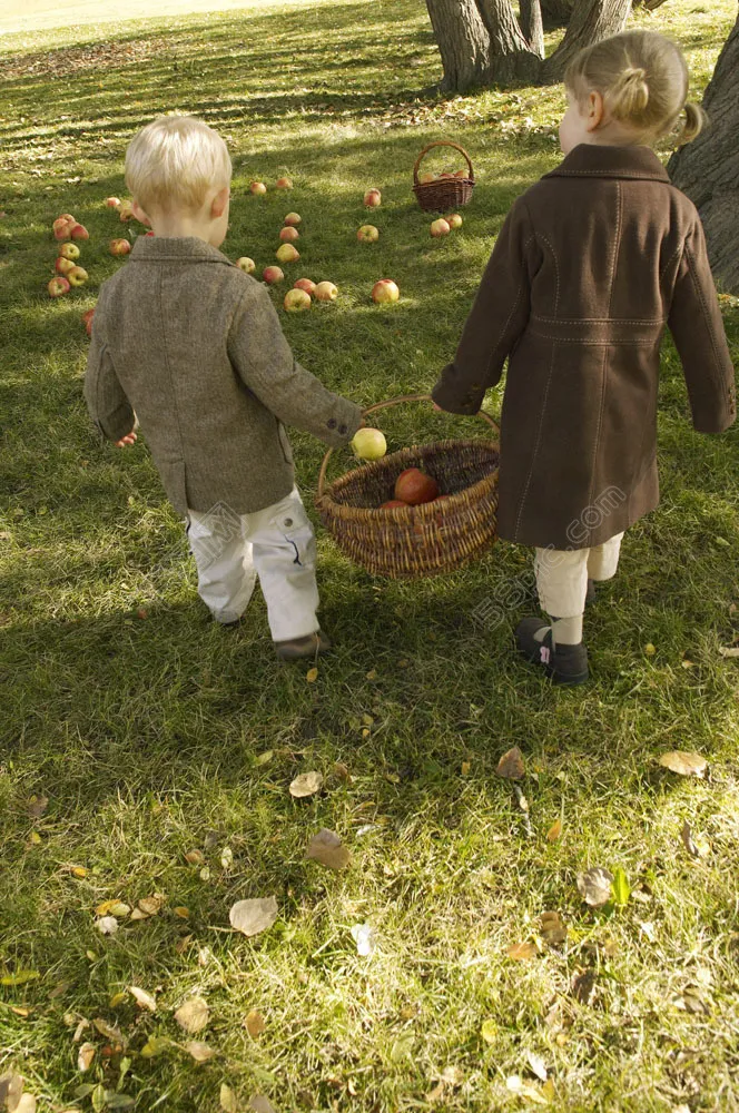 草地上拾苹果的儿童图片 草地上拾苹果的儿童图片