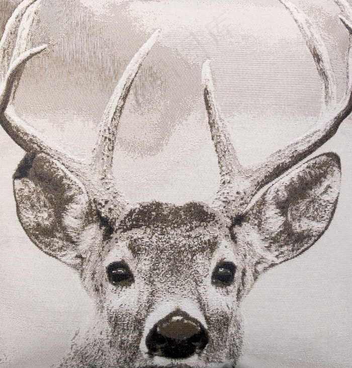 T恤图案插画
