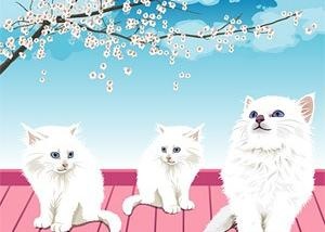 现实的白猫矢量素材