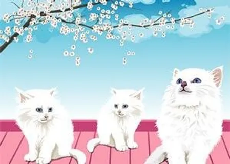 现实的白猫矢量素材