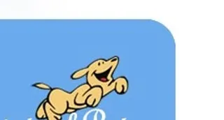 欧美动物网站模板