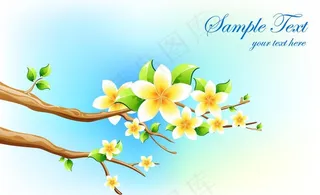 春天的鲜花树枝图片